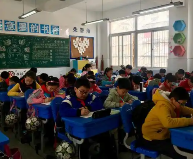 真正的对症下药不是在起点上按成果分班而是在多元的班级生态