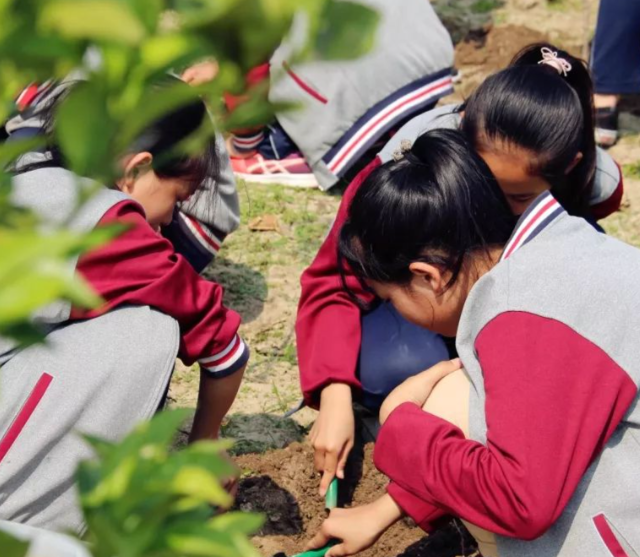 课后作业到学业评价全面分层让每一位学生都能适配自身学习节