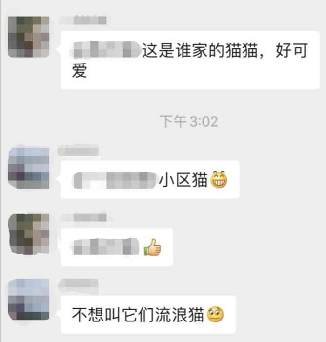 业主群聊天截图 武汉百步亭这家“月子中心”火了 网友:太暖心!